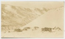 Image of Negi (Nerky [Neqe])- Eskimo Village